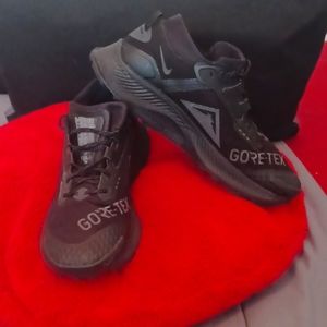 Nike Pegasus Trail 3 GORE-TEX